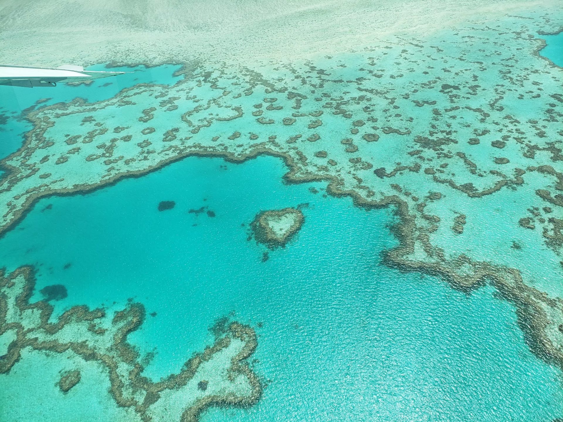 【旅行記】ハミルトン島好きによるハミルトン島に行く人に知って欲しい通な情報（ハミルトン島の行き方・観光などなど） UPMATE(アップメイト）